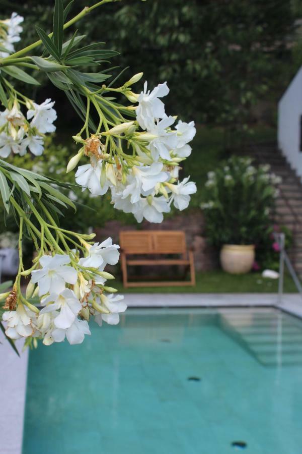 Villa Falkner 蒂鲁罗 外观 照片
